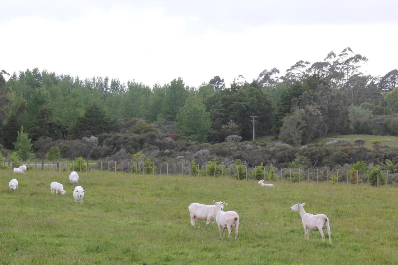 Puriridale B&B Kerikeri Dış mekan fotoğraf
