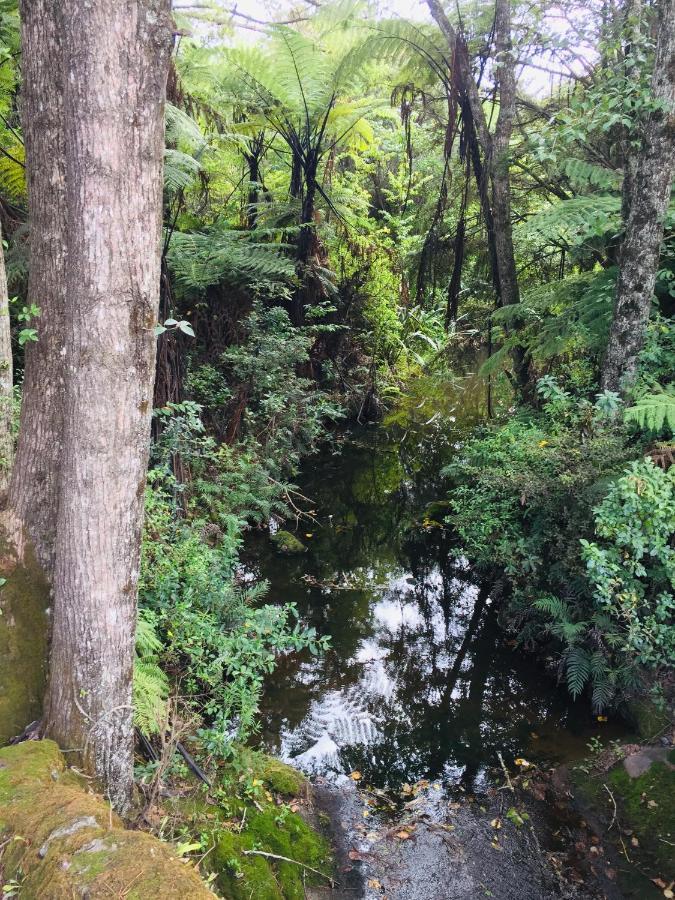 Puriridale B&B Kerikeri Dış mekan fotoğraf