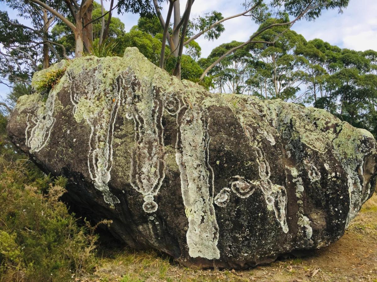 Puriridale B&B Kerikeri Dış mekan fotoğraf