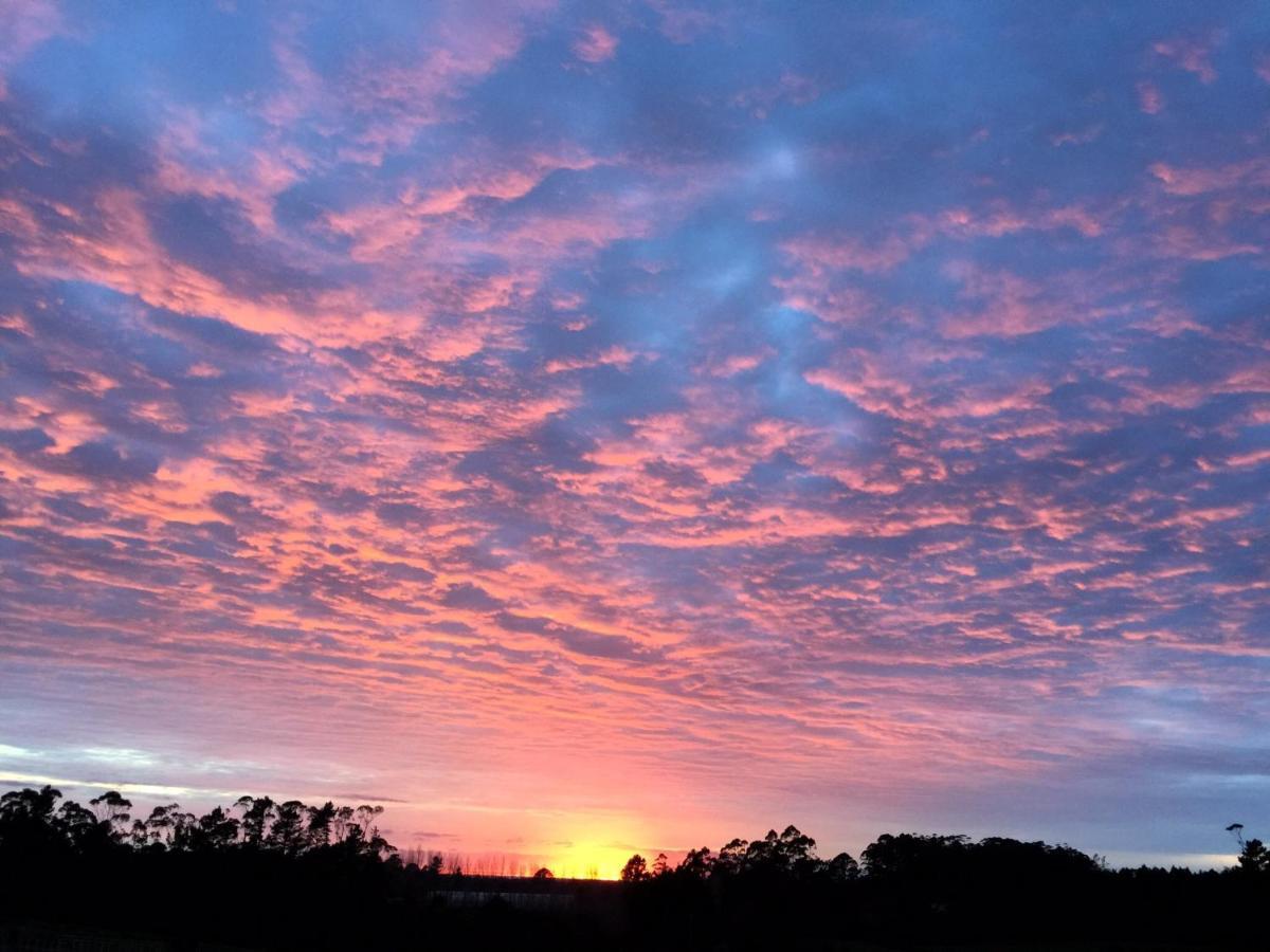 Puriridale B&B Kerikeri Dış mekan fotoğraf